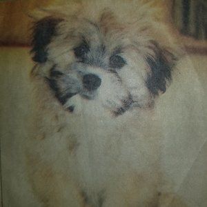 Meet your Posher, Posh